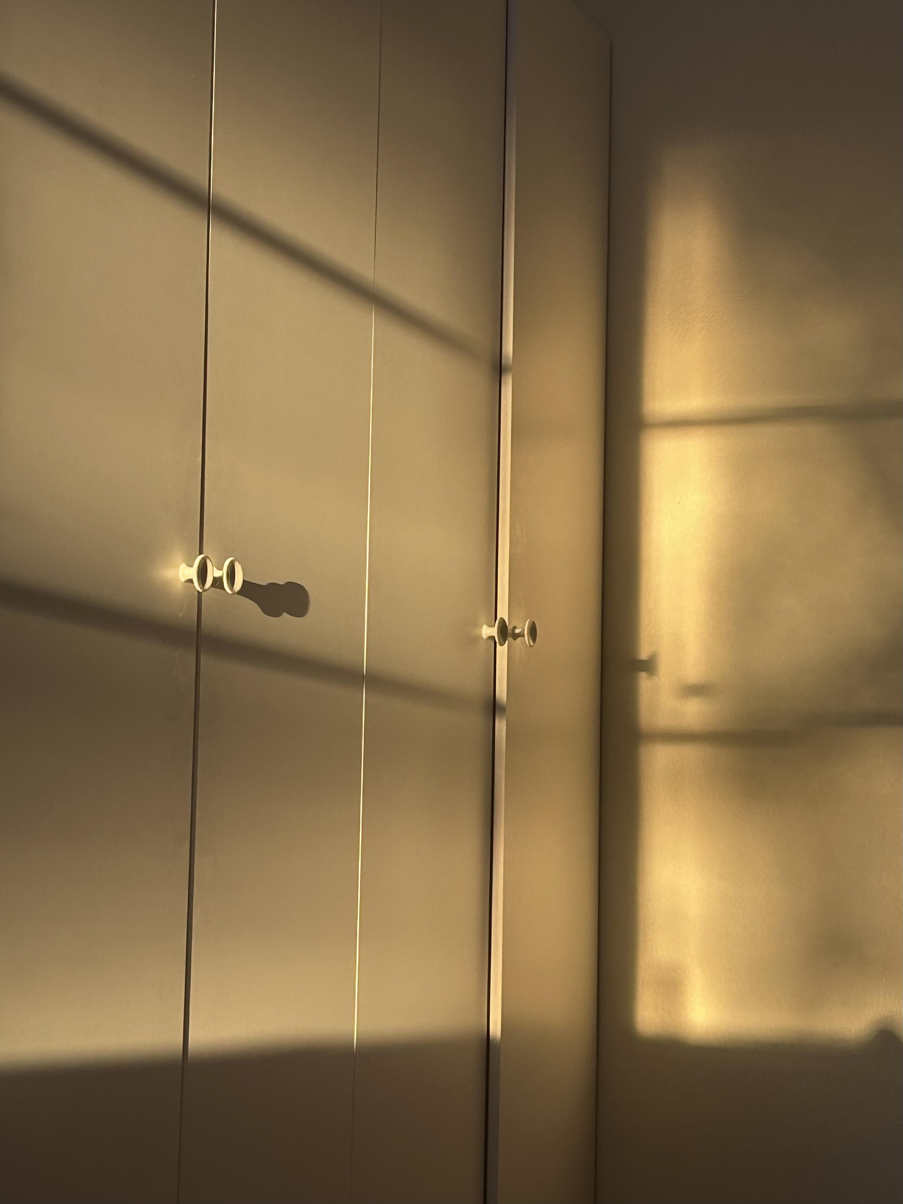 shadows of the afternoon