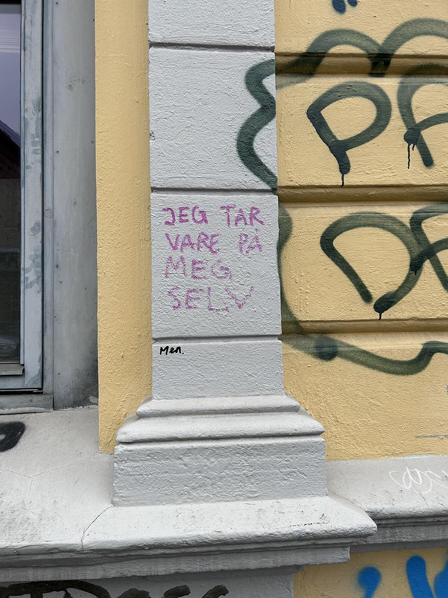 a public manifestation